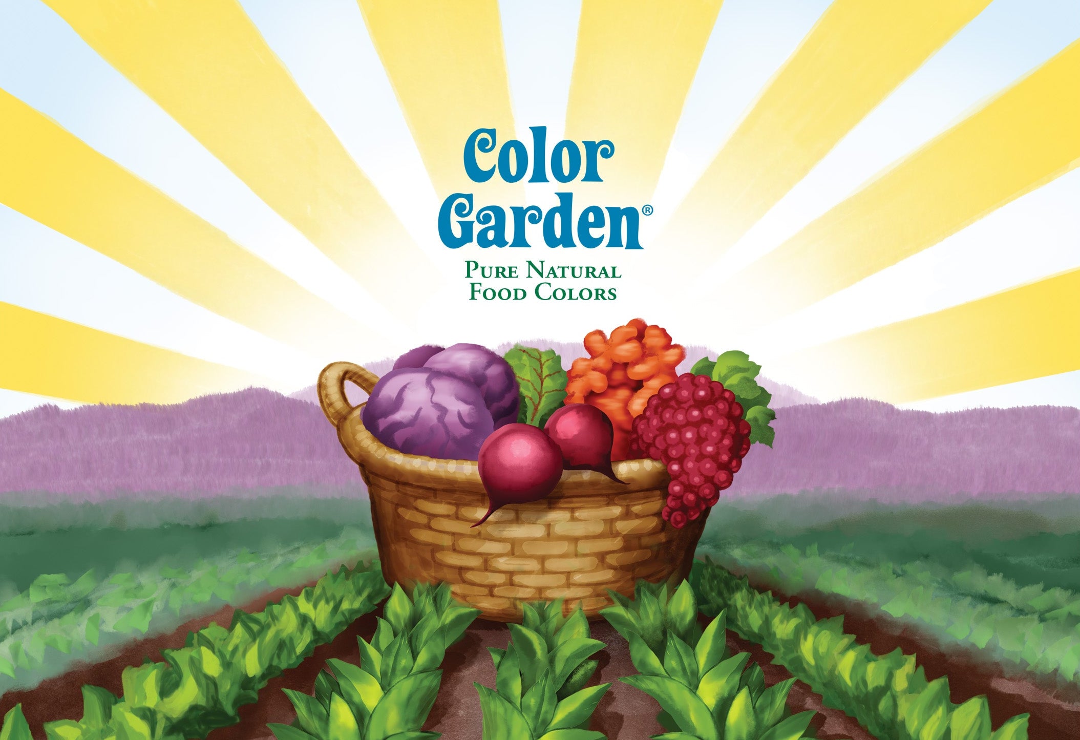 Color Garden logo with a basket of fruits and vegetables against a sunburst background