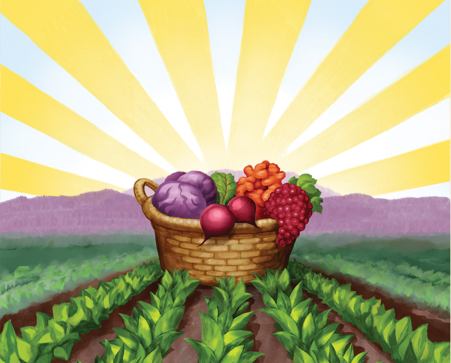 basket of fruits and vegetables in farm field